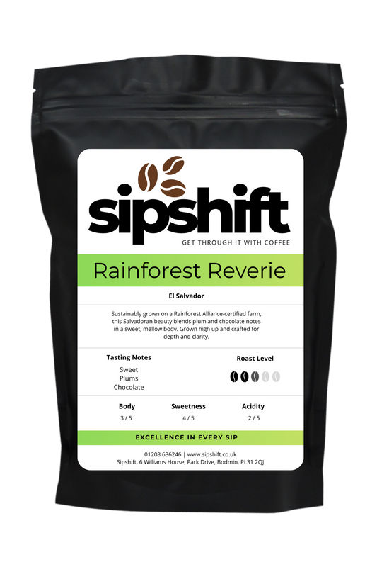 Rainforest Reverie